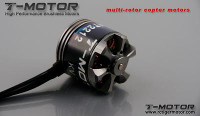 Tiger Motor MT-2212-13 980kv
