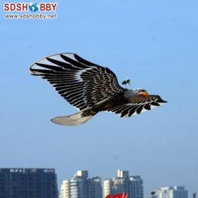 New Style RC Eagle Kite Ready To Fly (right hand throttle)