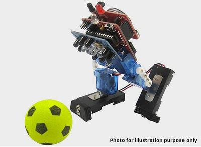 Mini Biped Interactive Robot (KIT)