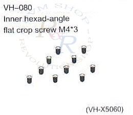 Inner hexad-angle flat crop screw M4*3 (VH-X5060)