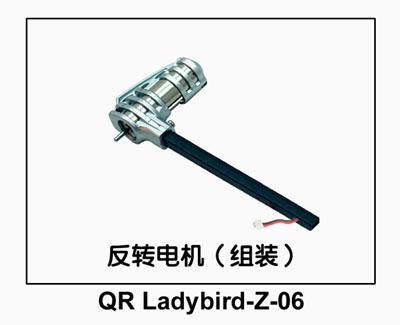 Motor (counter-clockwise) for QR Ladybird Z-06