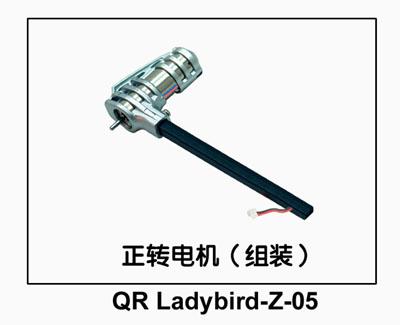 Motor (clockwise) for QR Ladybird Z-05