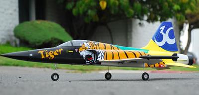 F-5E Tiger 64mm 4CH RTF Ducted Fan Rc Jet Plane